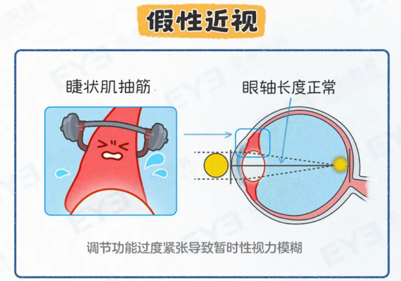 微信圖片_20250415103033