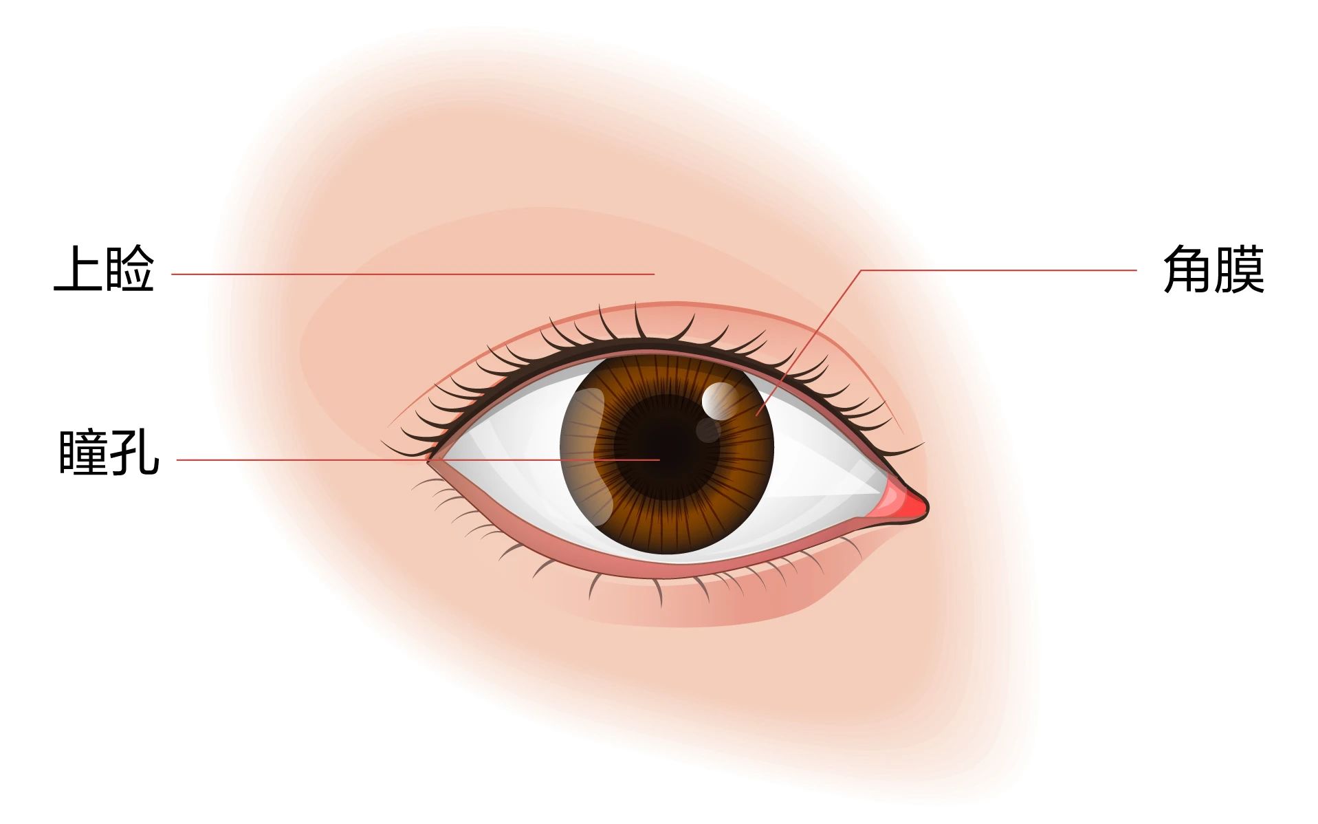 微信圖片_20250730093815