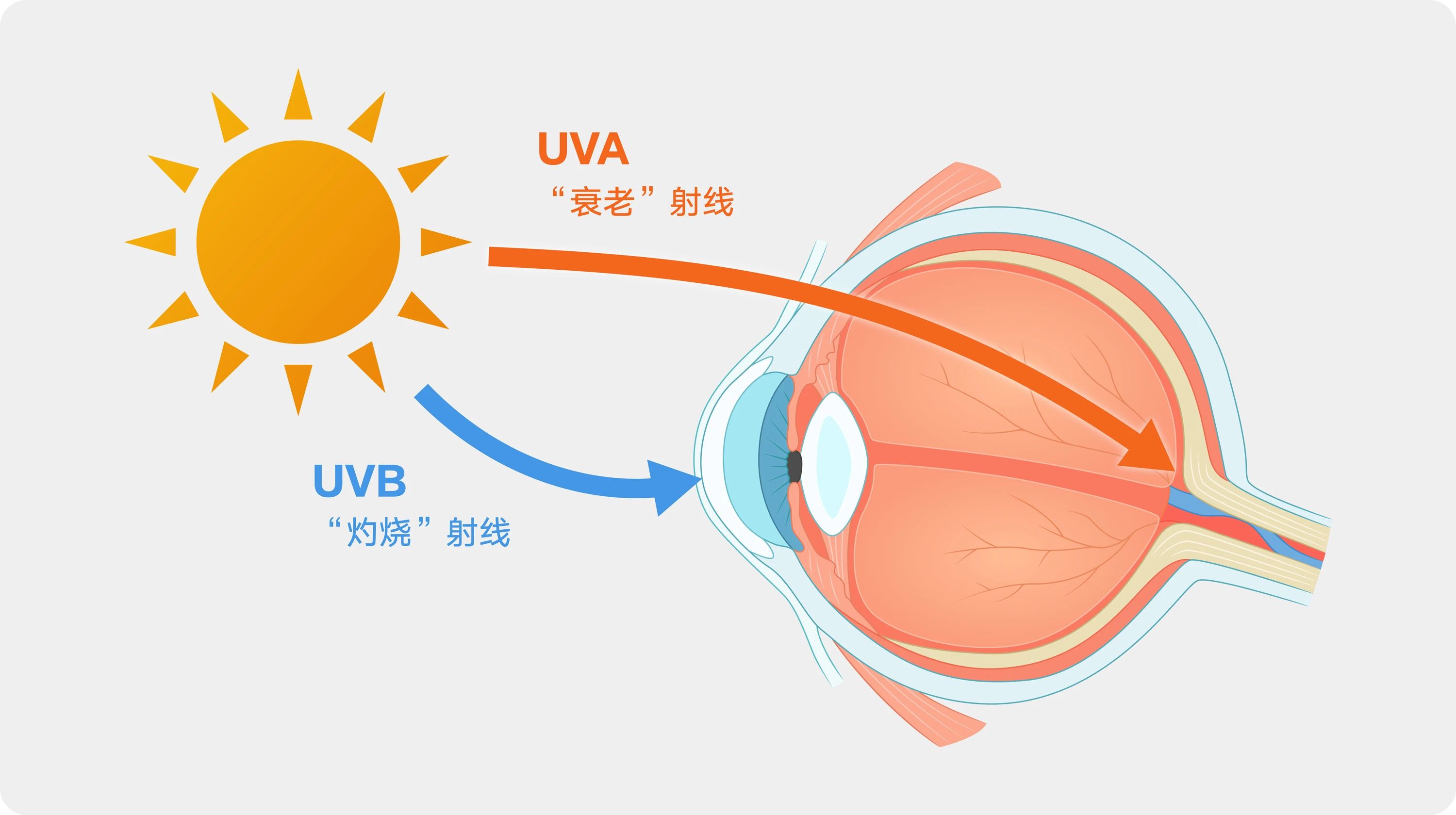 微信圖片_20250730093659