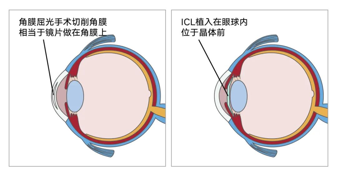 微信圖片_2025-08-23_105424_723 微信圖片_2025-08-23_105424_723