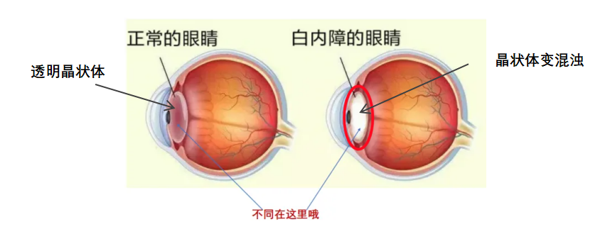 微信圖片_2025-10-23_151659_437