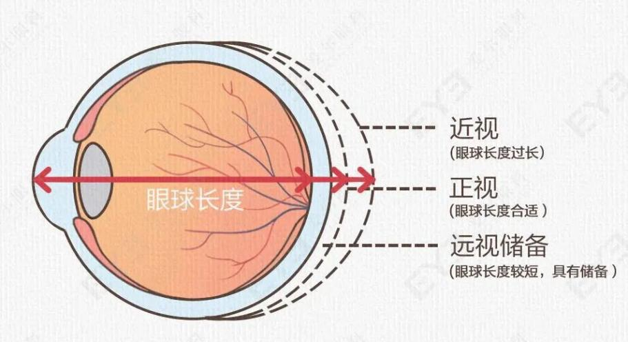 微信圖片_2025-11-16_100843_253
