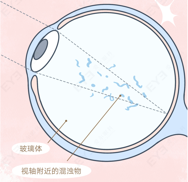 微信圖片_2025-11-04_143615_691