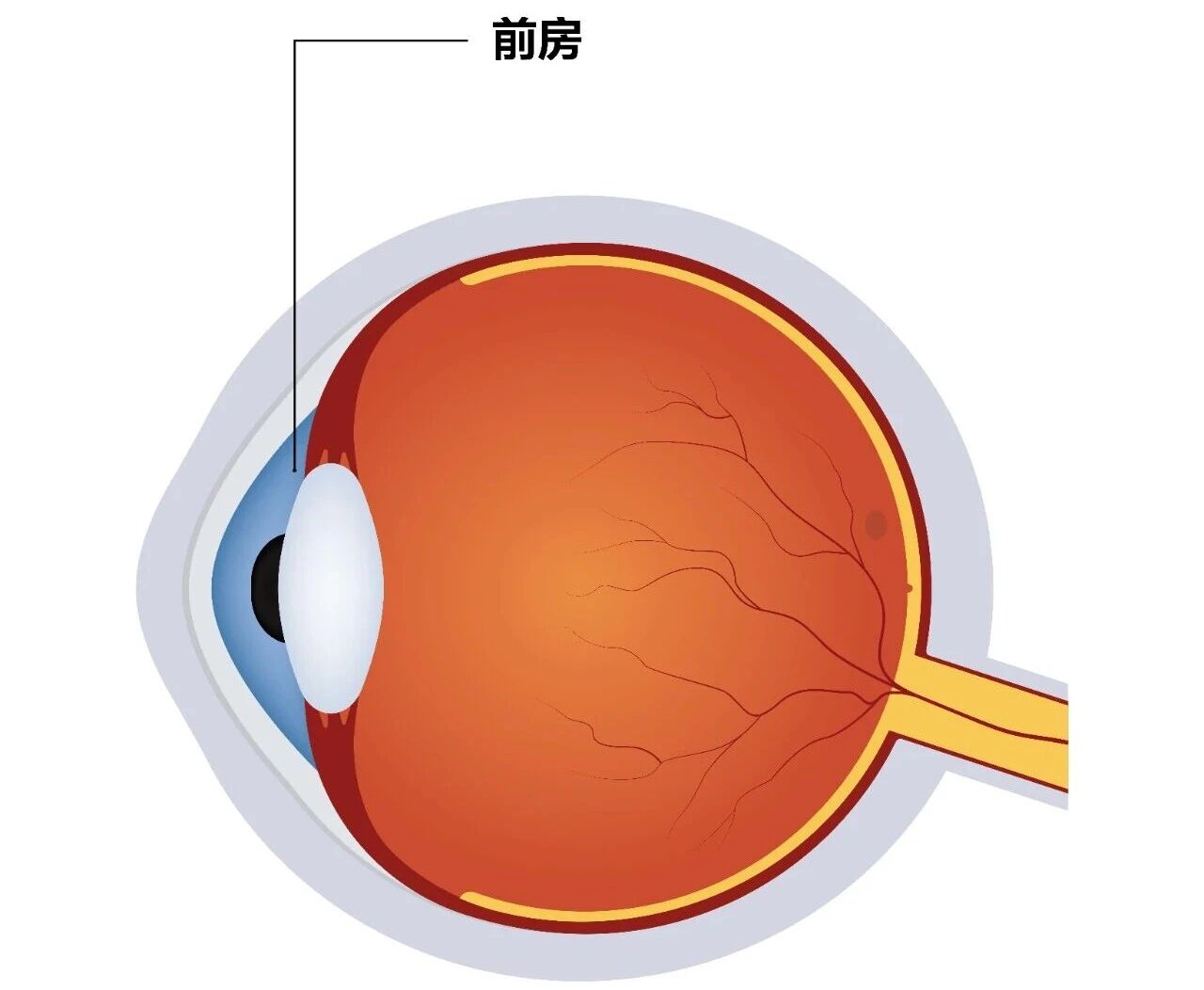 微信圖片_2025-12-11_143009_724 微信圖片_2025-12-11_143009_724