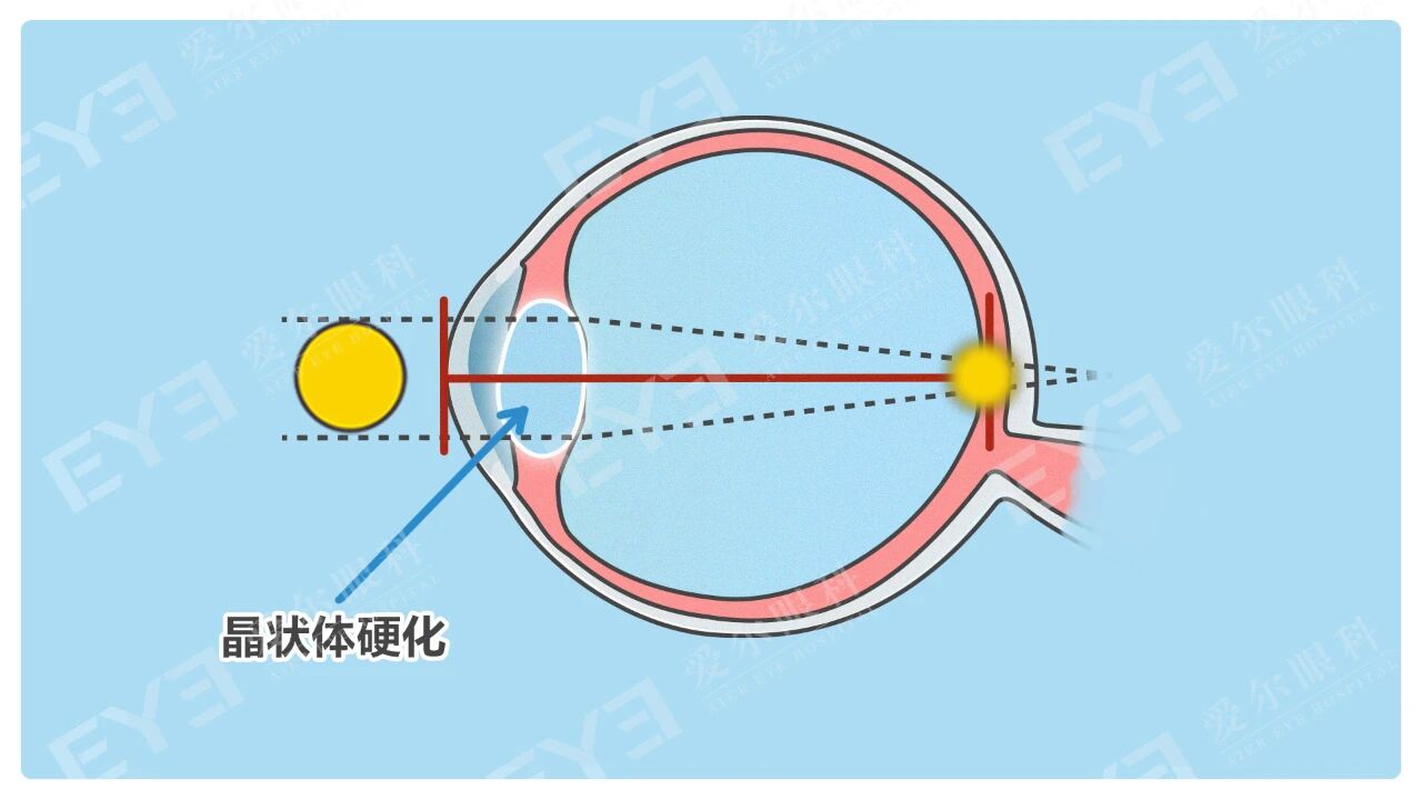 微信圖片_2026-01-07_094613_354